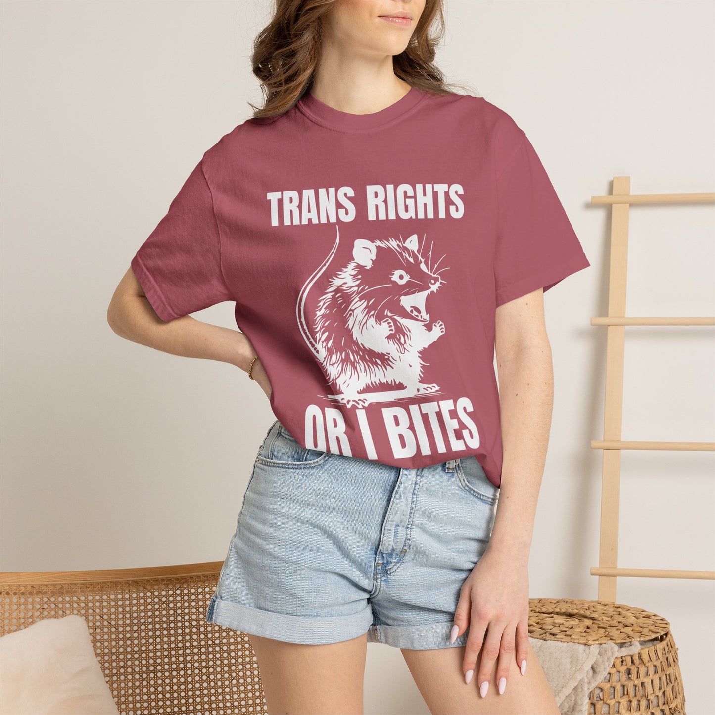 Comfort Colors Pride Shirt, Gay Shirt, LGBTQ Shirt, Lesbian Shirt, Inclusive Shirt, Trans Shirt, Equality Tee, Queer Shirt, Trans Rights Tee