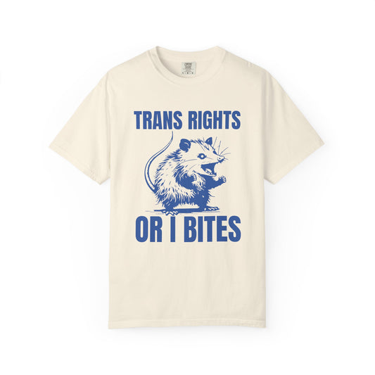 Comfort Colors Pride Shirt, Gay Shirt, LGBTQ Shirt, Lesbian Shirt, Inclusive Shirt, Trans Shirt, Equality Tee, Queer Shirt, Trans Rights Tee
