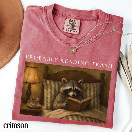 Reading Comfort Colors® Shirt Book Lover Raccoon T-Shirt Cozy Librarian Bookworm Tee Romance Bibliophile TShirt Vintage Smut Reader T-Shirt