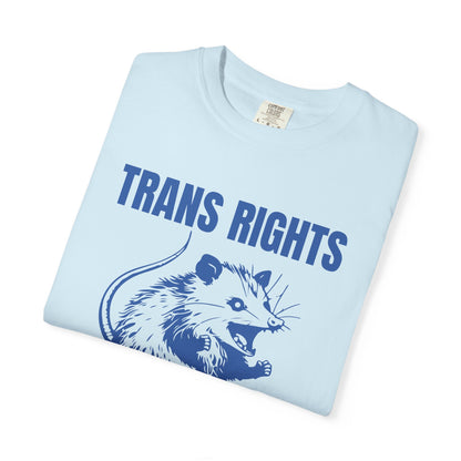Comfort Colors Pride Shirt, Gay Shirt, LGBTQ Shirt, Lesbian Shirt, Inclusive Shirt, Trans Shirt, Equality Tee, Queer Shirt, Trans Rights Tee