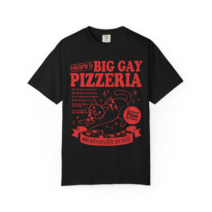 Comfort Colors Pride Shirt, Gay Shirt, LGBTQ Shirt, Lesbian Shirt, Inclusive Shirt, Trans Shirt, Cat Shirt, Subtle Gay, Big Gay Pizzeria Tee