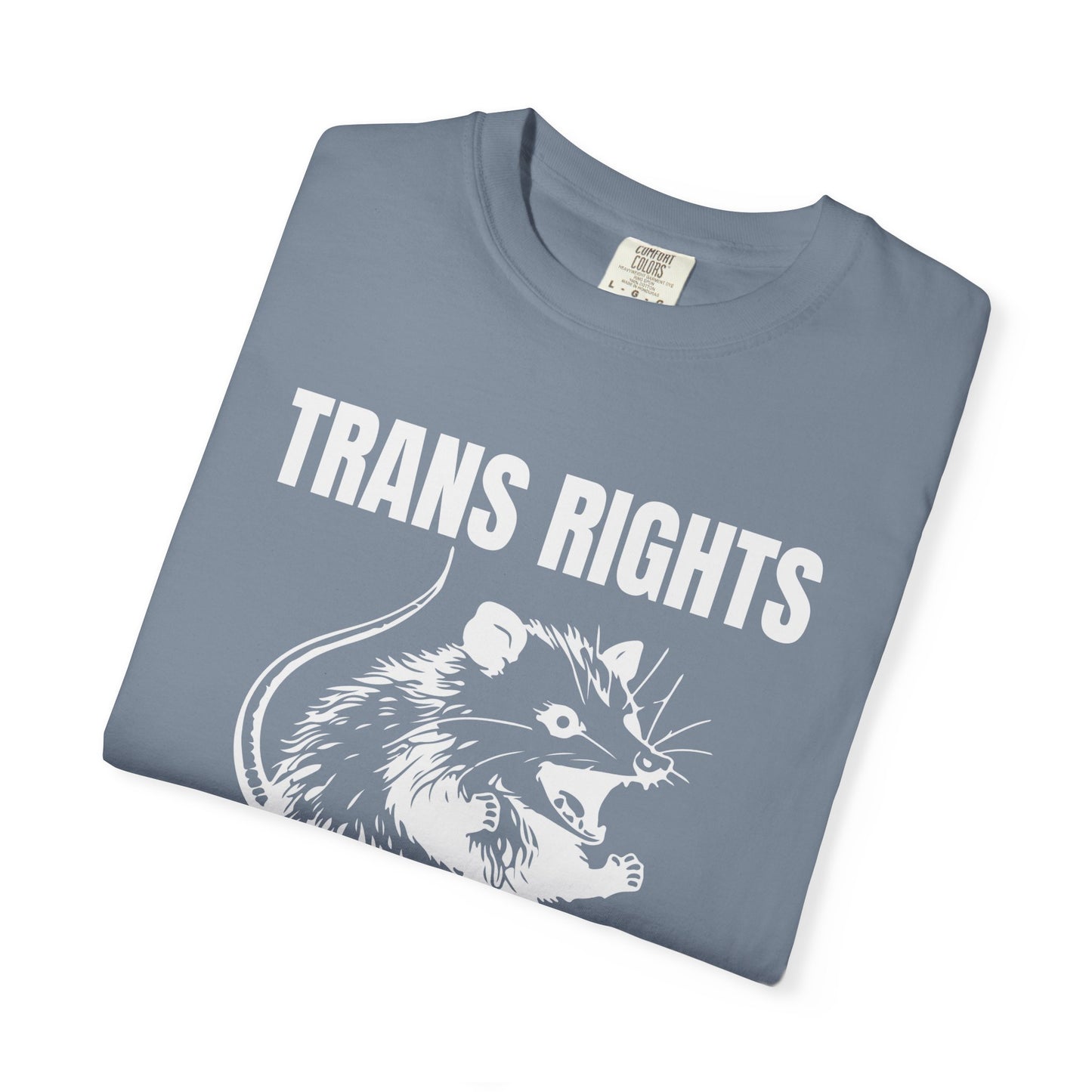 Comfort Colors Pride Shirt, Gay Shirt, LGBTQ Shirt, Lesbian Shirt, Inclusive Shirt, Trans Shirt, Equality Tee, Queer Shirt, Trans Rights Tee