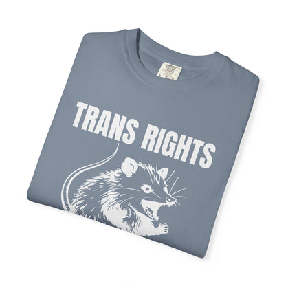 Comfort Colors Pride Shirt, Gay Shirt, LGBTQ Shirt, Lesbian Shirt, Inclusive Shirt, Trans Shirt, Equality Tee, Queer Shirt, Trans Rights Tee