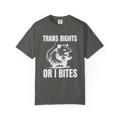 Comfort Colors Pride Shirt, Gay Shirt, LGBTQ Shirt, Lesbian Shirt, Inclusive Shirt, Trans Shirt, Equality Tee, Queer Shirt, Trans Rights Tee