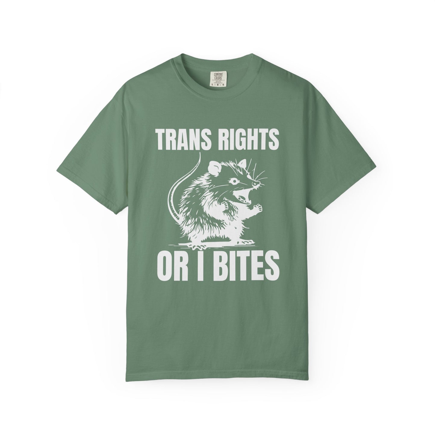 Comfort Colors Pride Shirt, Gay Shirt, LGBTQ Shirt, Lesbian Shirt, Inclusive Shirt, Trans Shirt, Equality Tee, Queer Shirt, Trans Rights Tee