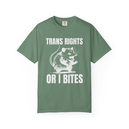 Comfort Colors Pride Shirt, Gay Shirt, LGBTQ Shirt, Lesbian Shirt, Inclusive Shirt, Trans Shirt, Equality Tee, Queer Shirt, Trans Rights Tee