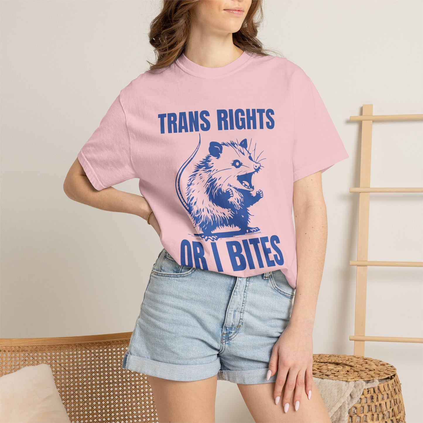 Comfort Colors Pride Shirt, Gay Shirt, LGBTQ Shirt, Lesbian Shirt, Inclusive Shirt, Trans Shirt, Equality Tee, Queer Shirt, Trans Rights Tee