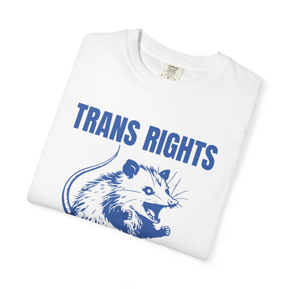 Comfort Colors Pride Shirt, Gay Shirt, LGBTQ Shirt, Lesbian Shirt, Inclusive Shirt, Trans Shirt, Equality Tee, Queer Shirt, Trans Rights Tee