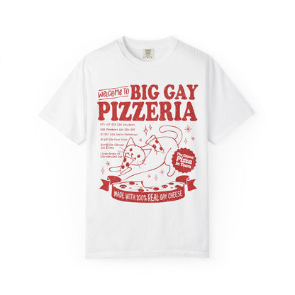 Comfort Colors Pride Shirt, Gay Shirt, LGBTQ Shirt, Lesbian Shirt, Inclusive Shirt, Trans Shirt, Cat Shirt, Subtle Gay, Big Gay Pizzeria Tee