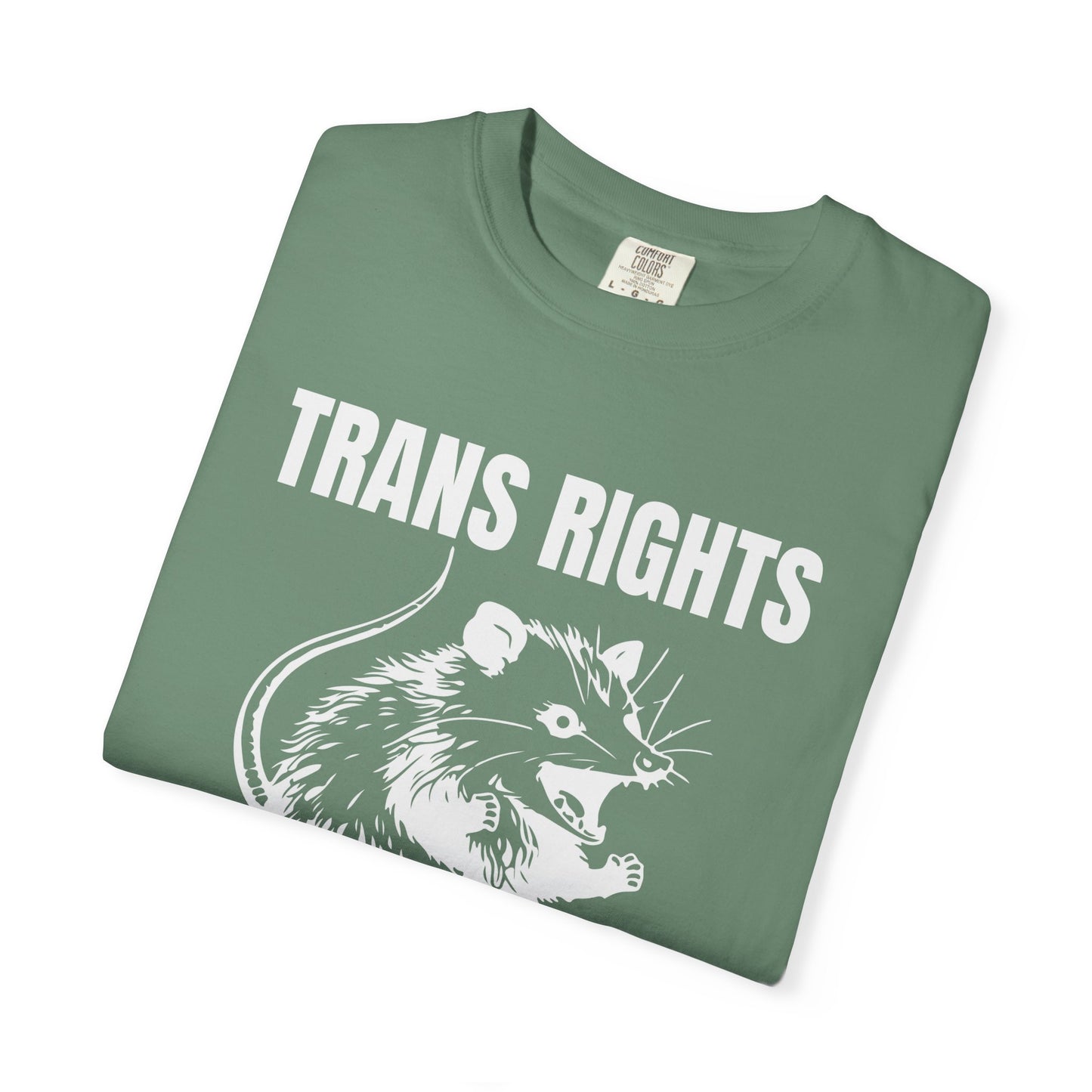 Comfort Colors Pride Shirt, Gay Shirt, LGBTQ Shirt, Lesbian Shirt, Inclusive Shirt, Trans Shirt, Equality Tee, Queer Shirt, Trans Rights Tee