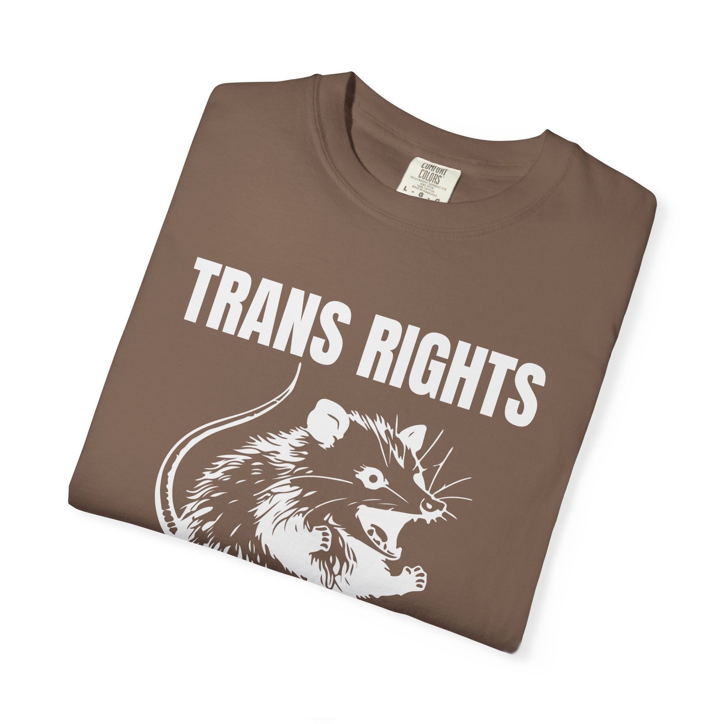 Comfort Colors Pride Shirt, Gay Shirt, LGBTQ Shirt, Lesbian Shirt, Inclusive Shirt, Trans Shirt, Equality Tee, Queer Shirt, Trans Rights Tee