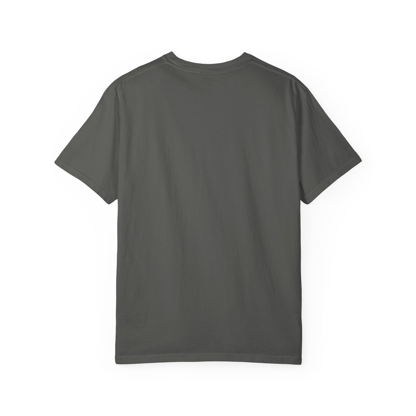Comfort Colors Pride Shirt, Gay Shirt, LGBTQ Shirt, Lesbian Shirt, Inclusive Shirt, Trans Shirt, Cat Shirt, Subtle Gay, Big Gay Pizzeria Tee