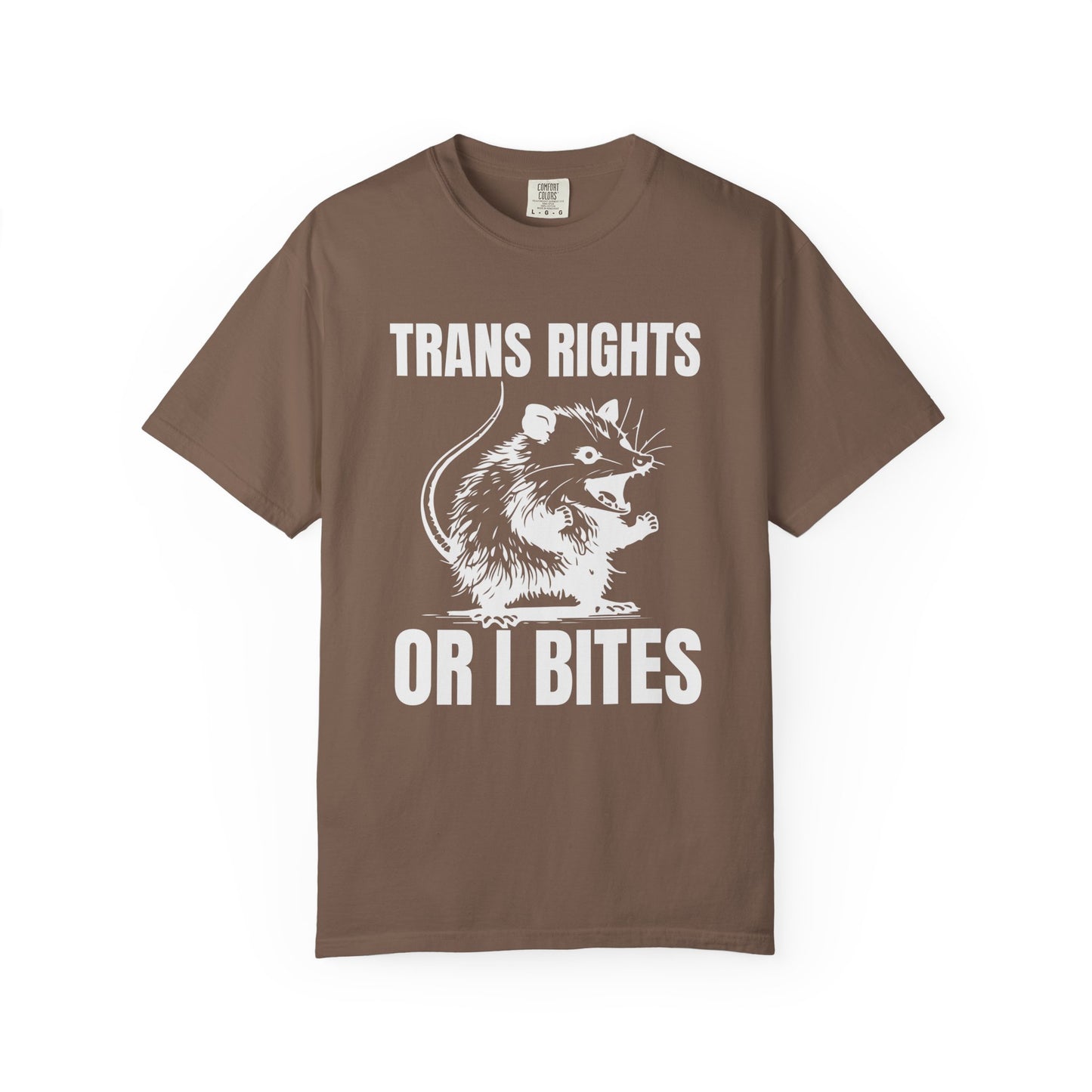 Comfort Colors Pride Shirt, Gay Shirt, LGBTQ Shirt, Lesbian Shirt, Inclusive Shirt, Trans Shirt, Equality Tee, Queer Shirt, Trans Rights Tee