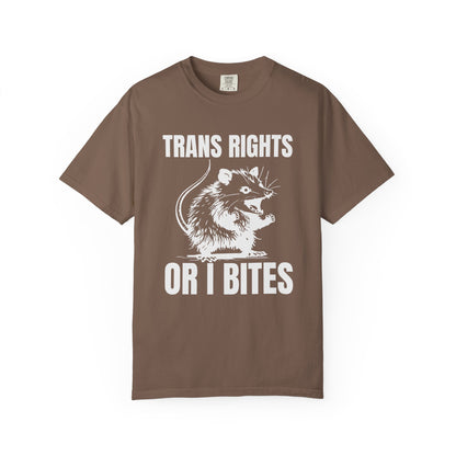 Comfort Colors Pride Shirt, Gay Shirt, LGBTQ Shirt, Lesbian Shirt, Inclusive Shirt, Trans Shirt, Equality Tee, Queer Shirt, Trans Rights Tee