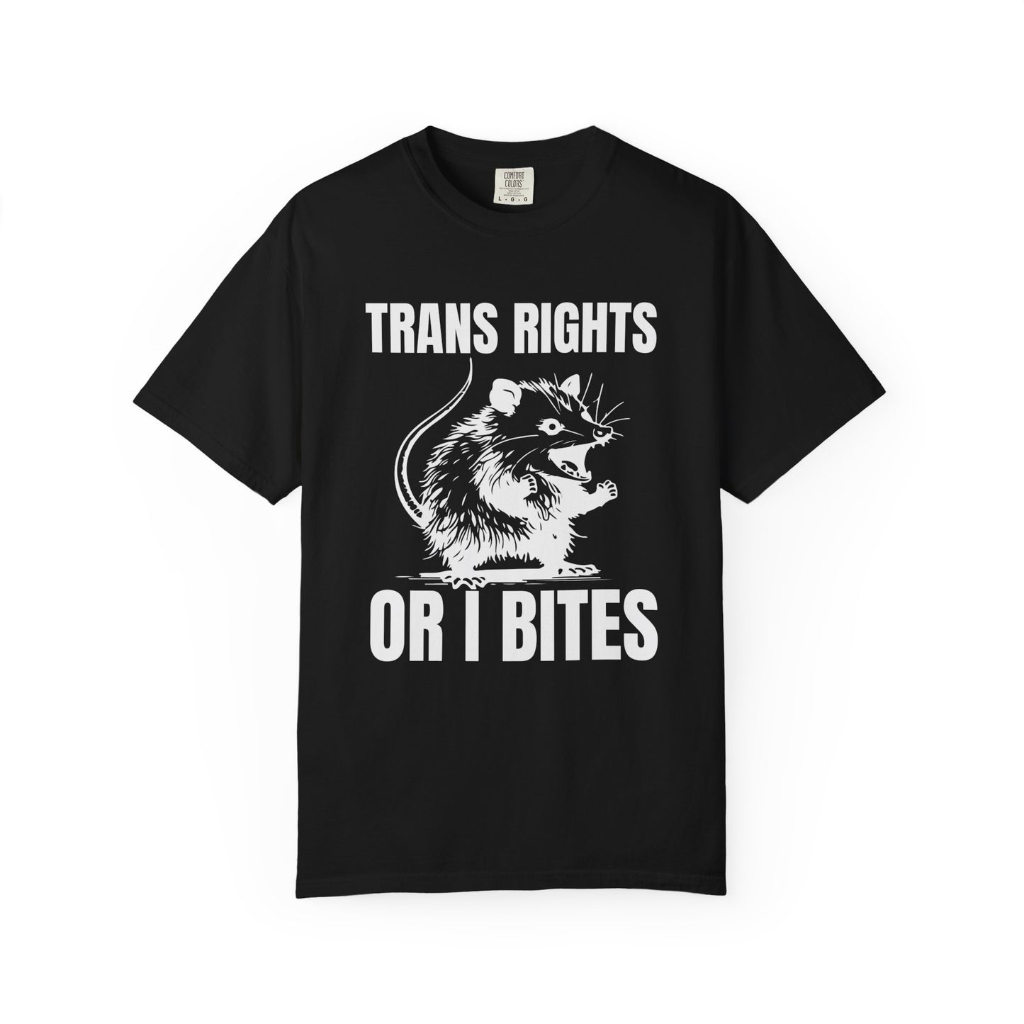 Comfort Colors Pride Shirt, Gay Shirt, LGBTQ Shirt, Lesbian Shirt, Inclusive Shirt, Trans Shirt, Equality Tee, Queer Shirt, Trans Rights Tee