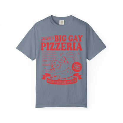 Comfort Colors Pride Shirt, Gay Shirt, LGBTQ Shirt, Lesbian Shirt, Inclusive Shirt, Trans Shirt, Cat Shirt, Subtle Gay, Big Gay Pizzeria Tee