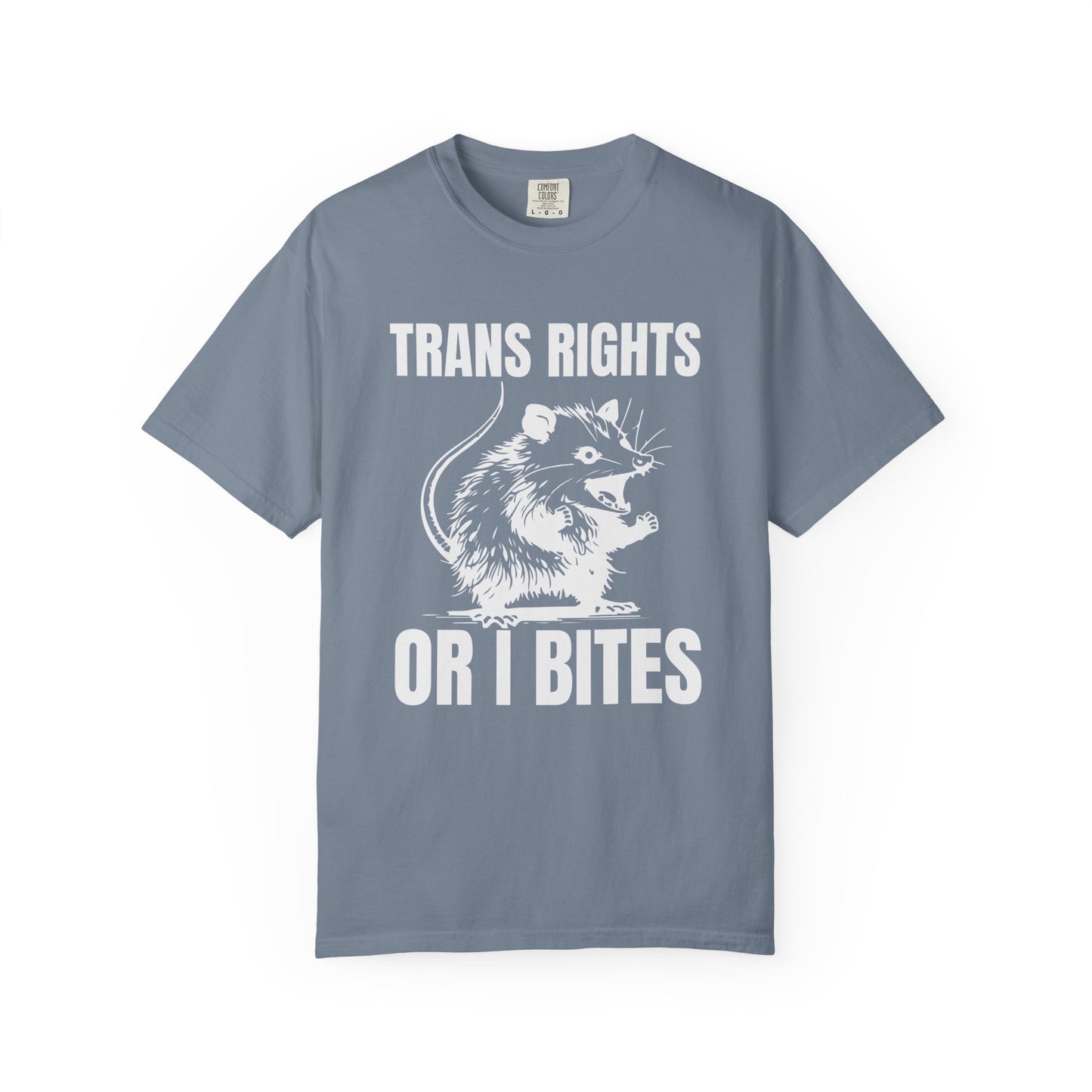 Comfort Colors Pride Shirt, Gay Shirt, LGBTQ Shirt, Lesbian Shirt, Inclusive Shirt, Trans Shirt, Equality Tee, Queer Shirt, Trans Rights Tee