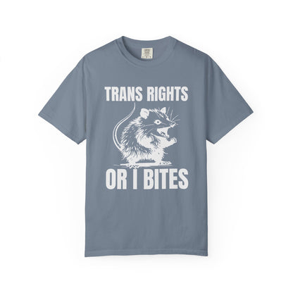 Comfort Colors Pride Shirt, Gay Shirt, LGBTQ Shirt, Lesbian Shirt, Inclusive Shirt, Trans Shirt, Equality Tee, Queer Shirt, Trans Rights Tee