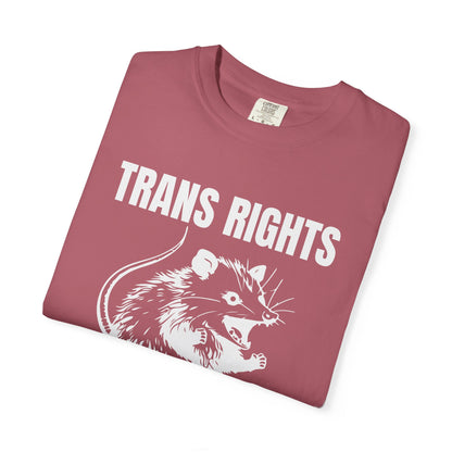 Comfort Colors Pride Shirt, Gay Shirt, LGBTQ Shirt, Lesbian Shirt, Inclusive Shirt, Trans Shirt, Equality Tee, Queer Shirt, Trans Rights Tee