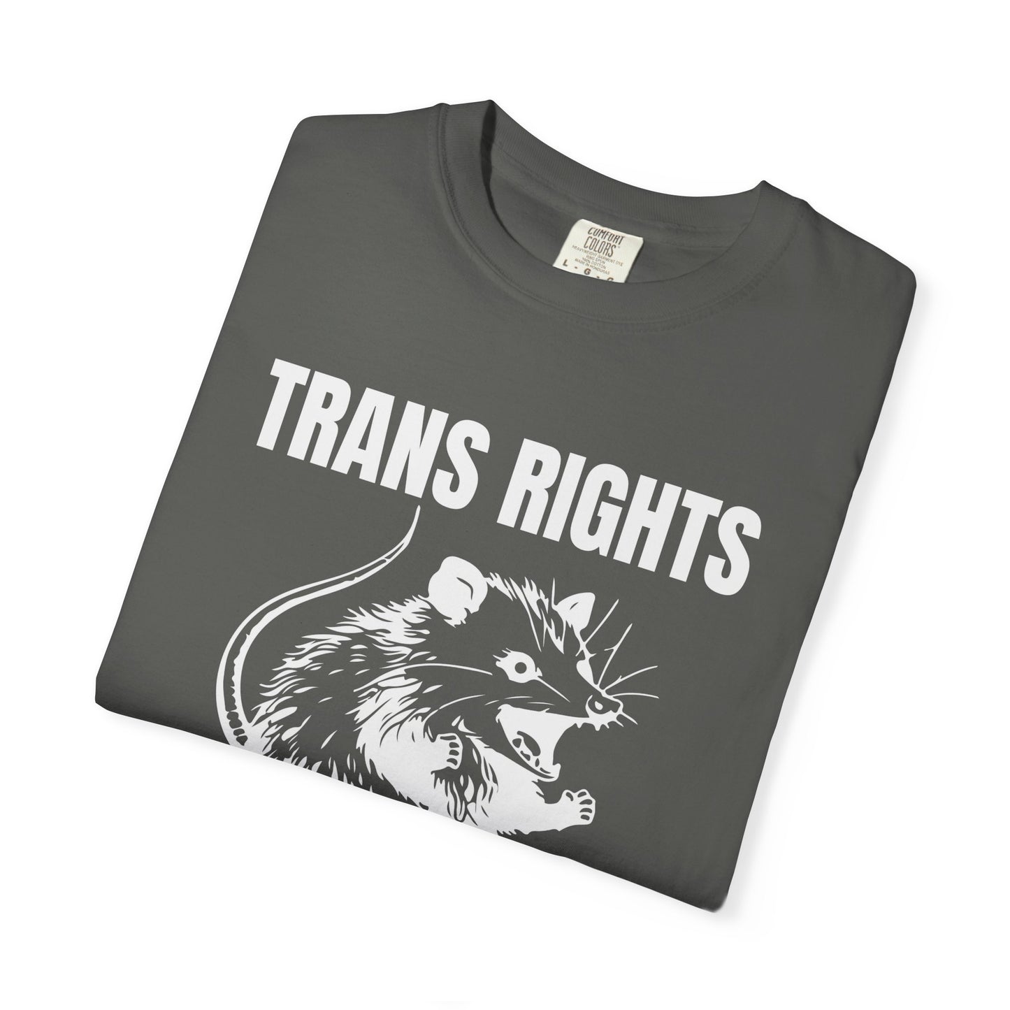 Comfort Colors Pride Shirt, Gay Shirt, LGBTQ Shirt, Lesbian Shirt, Inclusive Shirt, Trans Shirt, Equality Tee, Queer Shirt, Trans Rights Tee