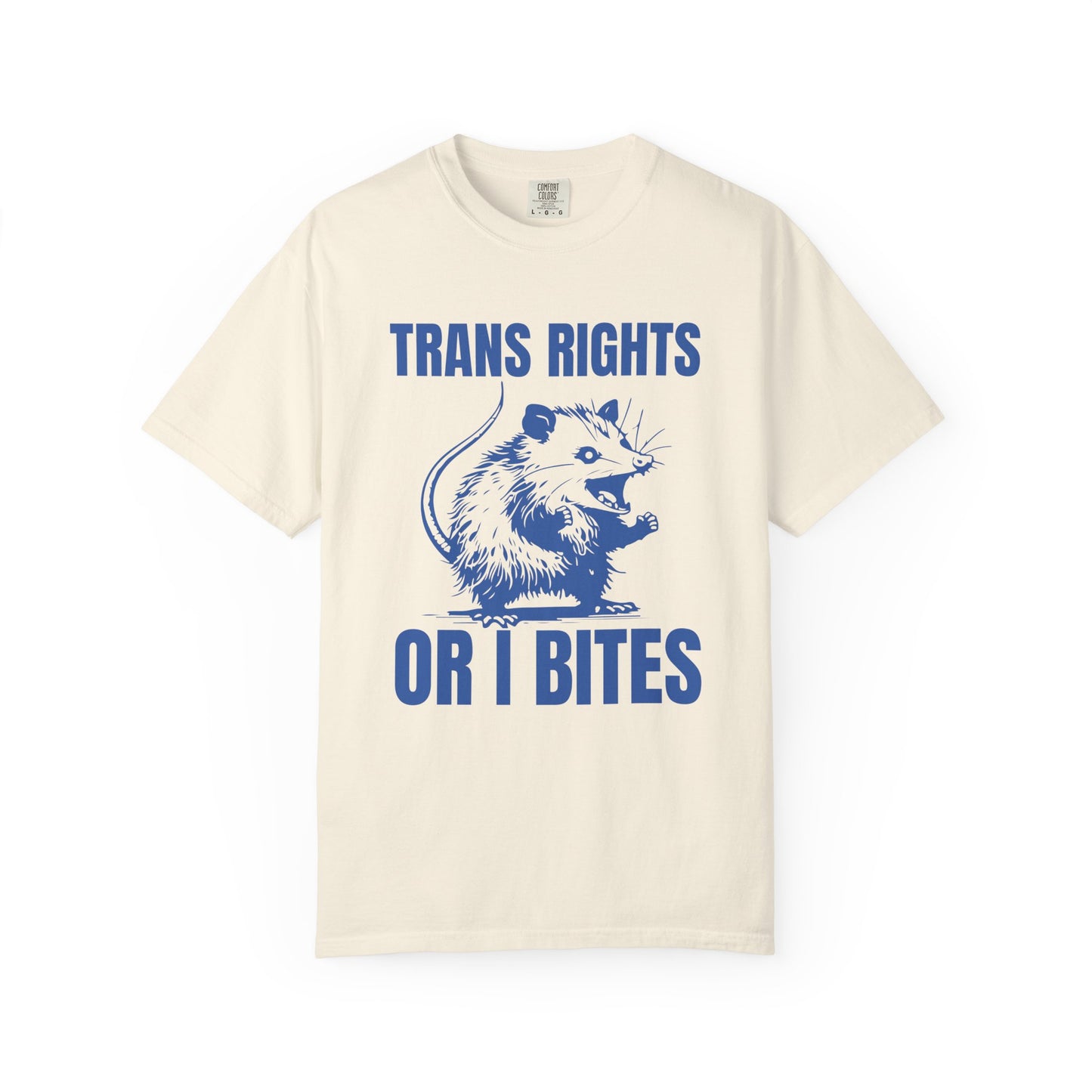 Comfort Colors Pride Shirt, Gay Shirt, LGBTQ Shirt, Lesbian Shirt, Inclusive Shirt, Trans Shirt, Equality Tee, Queer Shirt, Trans Rights Tee