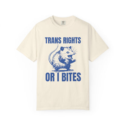 Comfort Colors Pride Shirt, Gay Shirt, LGBTQ Shirt, Lesbian Shirt, Inclusive Shirt, Trans Shirt, Equality Tee, Queer Shirt, Trans Rights Tee