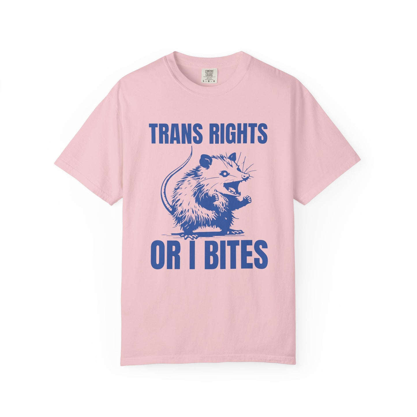Comfort Colors Pride Shirt, Gay Shirt, LGBTQ Shirt, Lesbian Shirt, Inclusive Shirt, Trans Shirt, Equality Tee, Queer Shirt, Trans Rights Tee