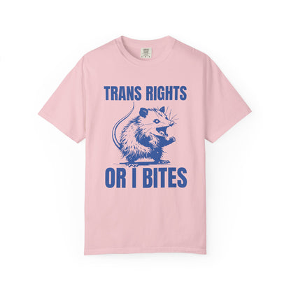 Comfort Colors Pride Shirt, Gay Shirt, LGBTQ Shirt, Lesbian Shirt, Inclusive Shirt, Trans Shirt, Equality Tee, Queer Shirt, Trans Rights Tee