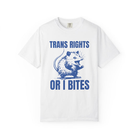 Comfort Colors Pride Shirt, Gay Shirt, LGBTQ Shirt, Lesbian Shirt, Inclusive Shirt, Trans Shirt, Equality Tee, Queer Shirt, Trans Rights Tee