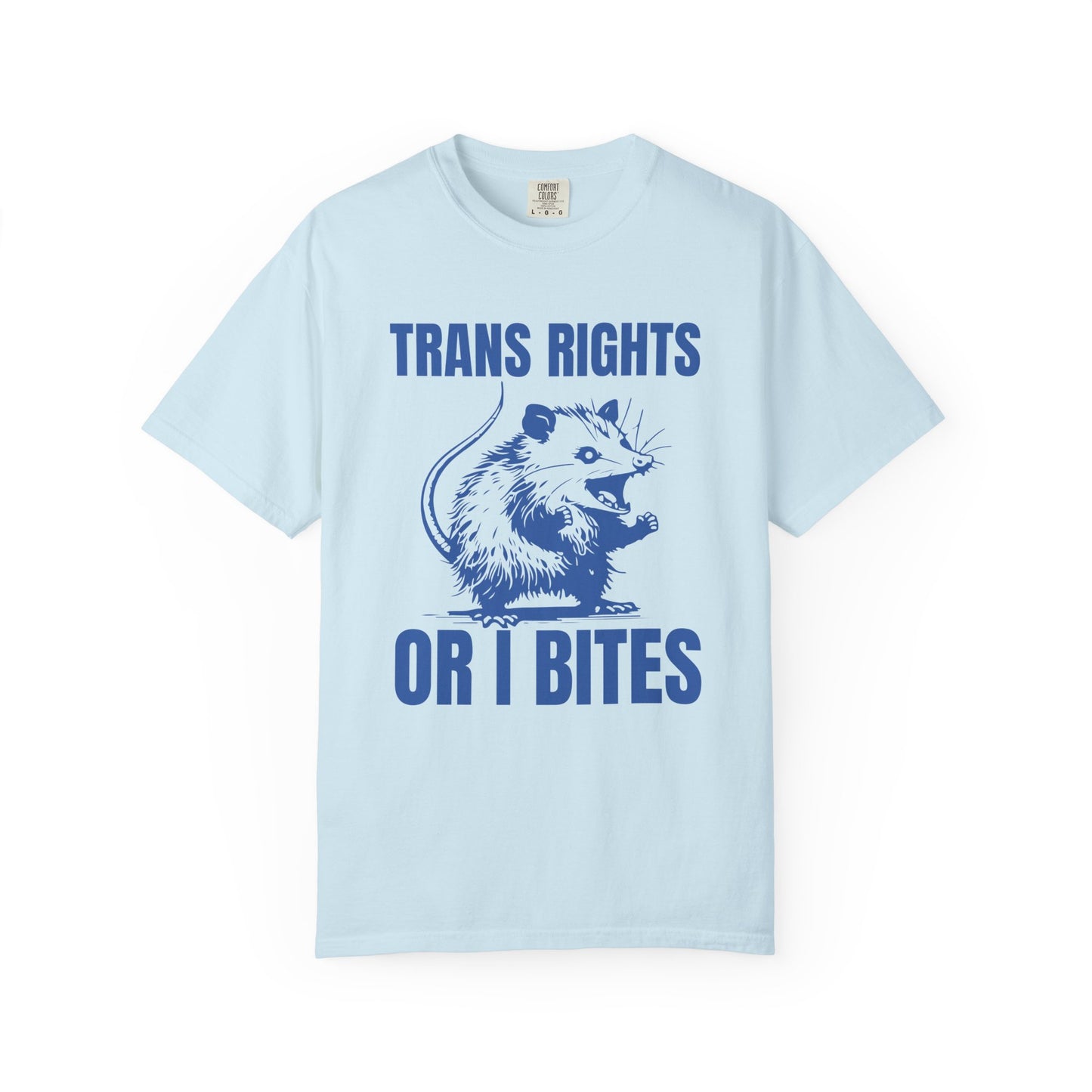 Comfort Colors Pride Shirt, Gay Shirt, LGBTQ Shirt, Lesbian Shirt, Inclusive Shirt, Trans Shirt, Equality Tee, Queer Shirt, Trans Rights Tee