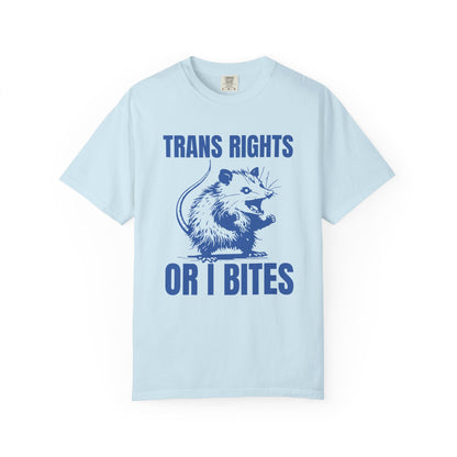 Comfort Colors Pride Shirt, Gay Shirt, LGBTQ Shirt, Lesbian Shirt, Inclusive Shirt, Trans Shirt, Equality Tee, Queer Shirt, Trans Rights Tee