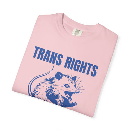 Comfort Colors Pride Shirt, Gay Shirt, LGBTQ Shirt, Lesbian Shirt, Inclusive Shirt, Trans Shirt, Equality Tee, Queer Shirt, Trans Rights Tee