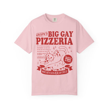 Comfort Colors Pride Shirt, Gay Shirt, LGBTQ Shirt, Lesbian Shirt, Inclusive Shirt, Trans Shirt, Cat Shirt, Subtle Gay, Big Gay Pizzeria Tee