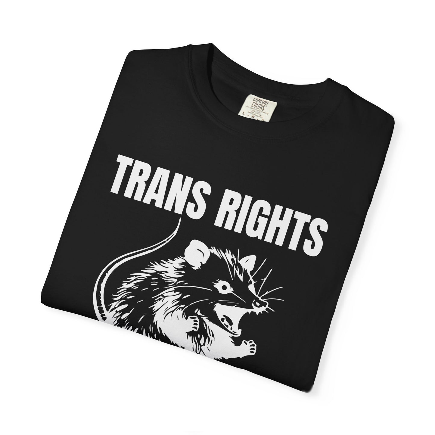 Comfort Colors Pride Shirt, Gay Shirt, LGBTQ Shirt, Lesbian Shirt, Inclusive Shirt, Trans Shirt, Equality Tee, Queer Shirt, Trans Rights Tee