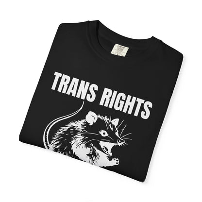 Comfort Colors Pride Shirt, Gay Shirt, LGBTQ Shirt, Lesbian Shirt, Inclusive Shirt, Trans Shirt, Equality Tee, Queer Shirt, Trans Rights Tee