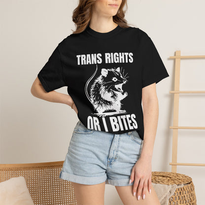 Comfort Colors Pride Shirt, Gay Shirt, LGBTQ Shirt, Lesbian Shirt, Inclusive Shirt, Trans Shirt, Equality Tee, Queer Shirt, Trans Rights Tee