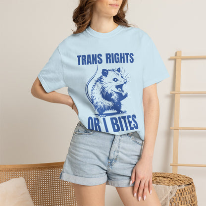 Comfort Colors Pride Shirt, Gay Shirt, LGBTQ Shirt, Lesbian Shirt, Inclusive Shirt, Trans Shirt, Equality Tee, Queer Shirt, Trans Rights Tee