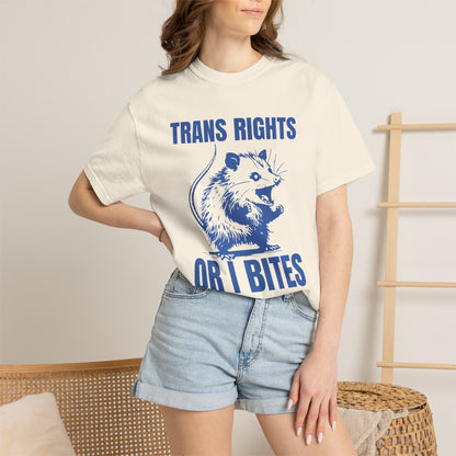 Comfort Colors Pride Shirt, Gay Shirt, LGBTQ Shirt, Lesbian Shirt, Inclusive Shirt, Trans Shirt, Equality Tee, Queer Shirt, Trans Rights Tee