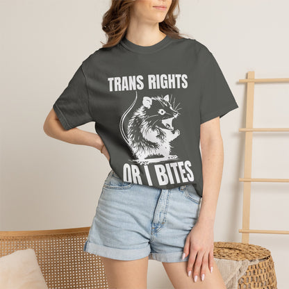 Comfort Colors Pride Shirt, Gay Shirt, LGBTQ Shirt, Lesbian Shirt, Inclusive Shirt, Trans Shirt, Equality Tee, Queer Shirt, Trans Rights Tee