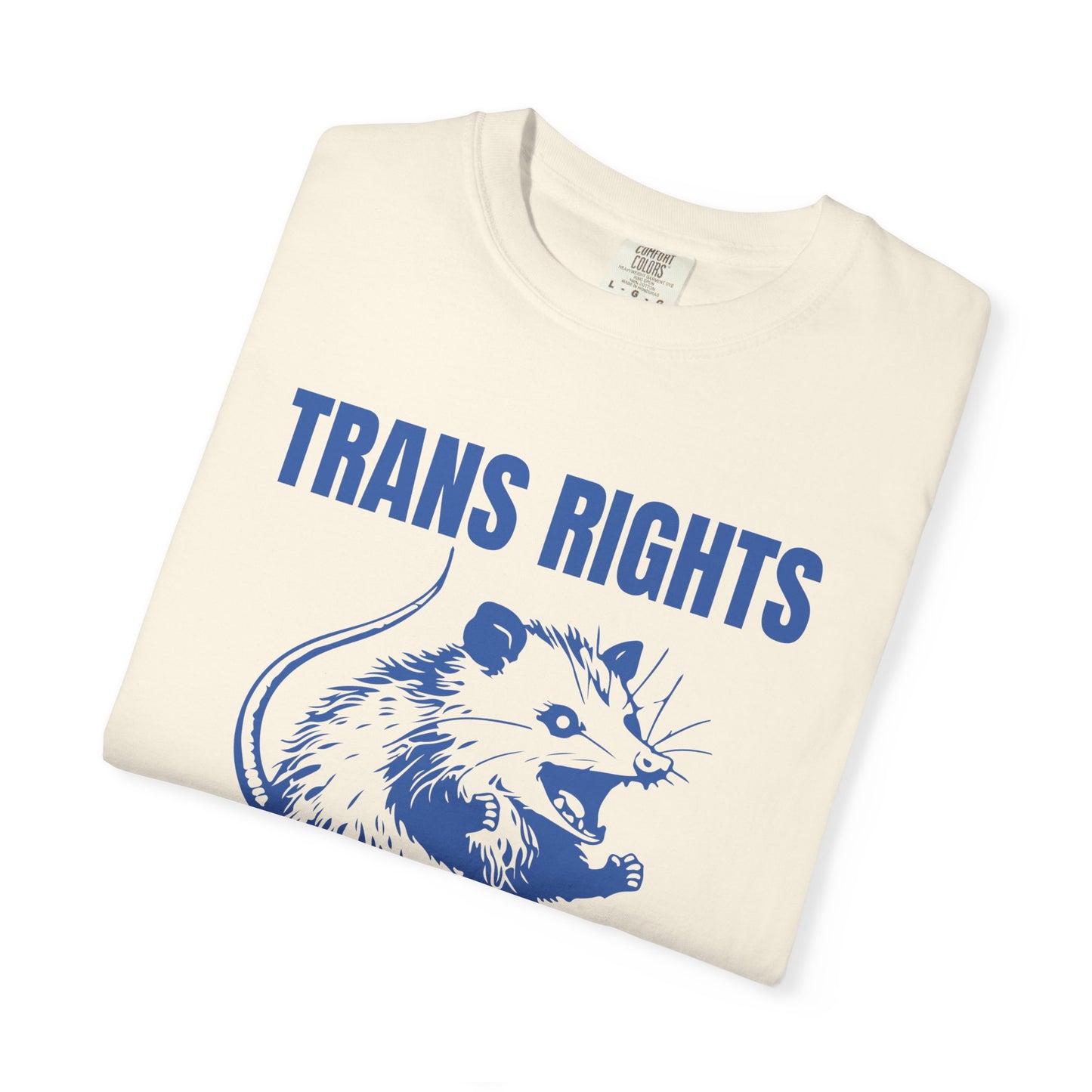 Comfort Colors Pride Shirt, Gay Shirt, LGBTQ Shirt, Lesbian Shirt, Inclusive Shirt, Trans Shirt, Equality Tee, Queer Shirt, Trans Rights Tee