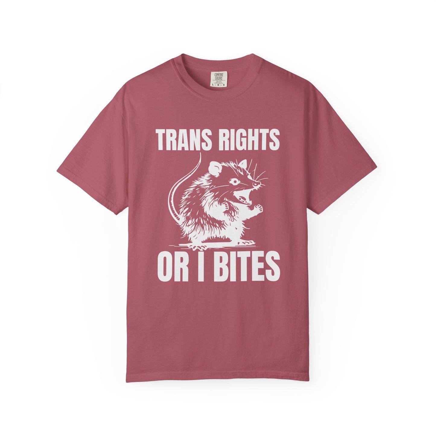 Comfort Colors Pride Shirt, Gay Shirt, LGBTQ Shirt, Lesbian Shirt, Inclusive Shirt, Trans Shirt, Equality Tee, Queer Shirt, Trans Rights Tee