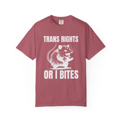 Comfort Colors Pride Shirt, Gay Shirt, LGBTQ Shirt, Lesbian Shirt, Inclusive Shirt, Trans Shirt, Equality Tee, Queer Shirt, Trans Rights Tee