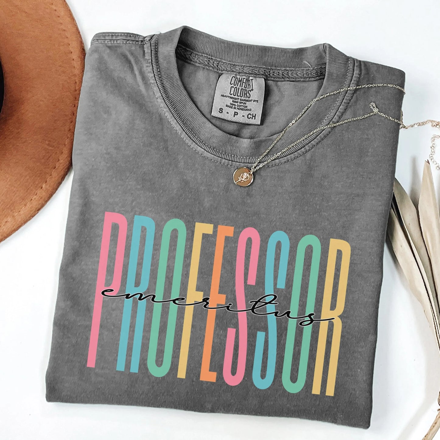 Professor Shirt, Emeritus Professor Gift, Teacher Shirt, Gift for New Professor Gift, Teacher Gift, Professor Tee, College Professor Shirt