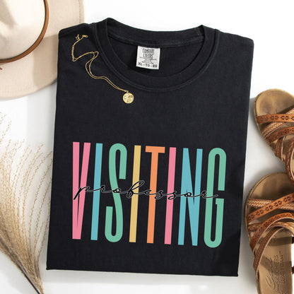 Teacher Shirt, Professor Shirt, Visiting Professor Shirt, Educator Shirt, College Professor Gift, New Professor Shirt, Gift for Teacher