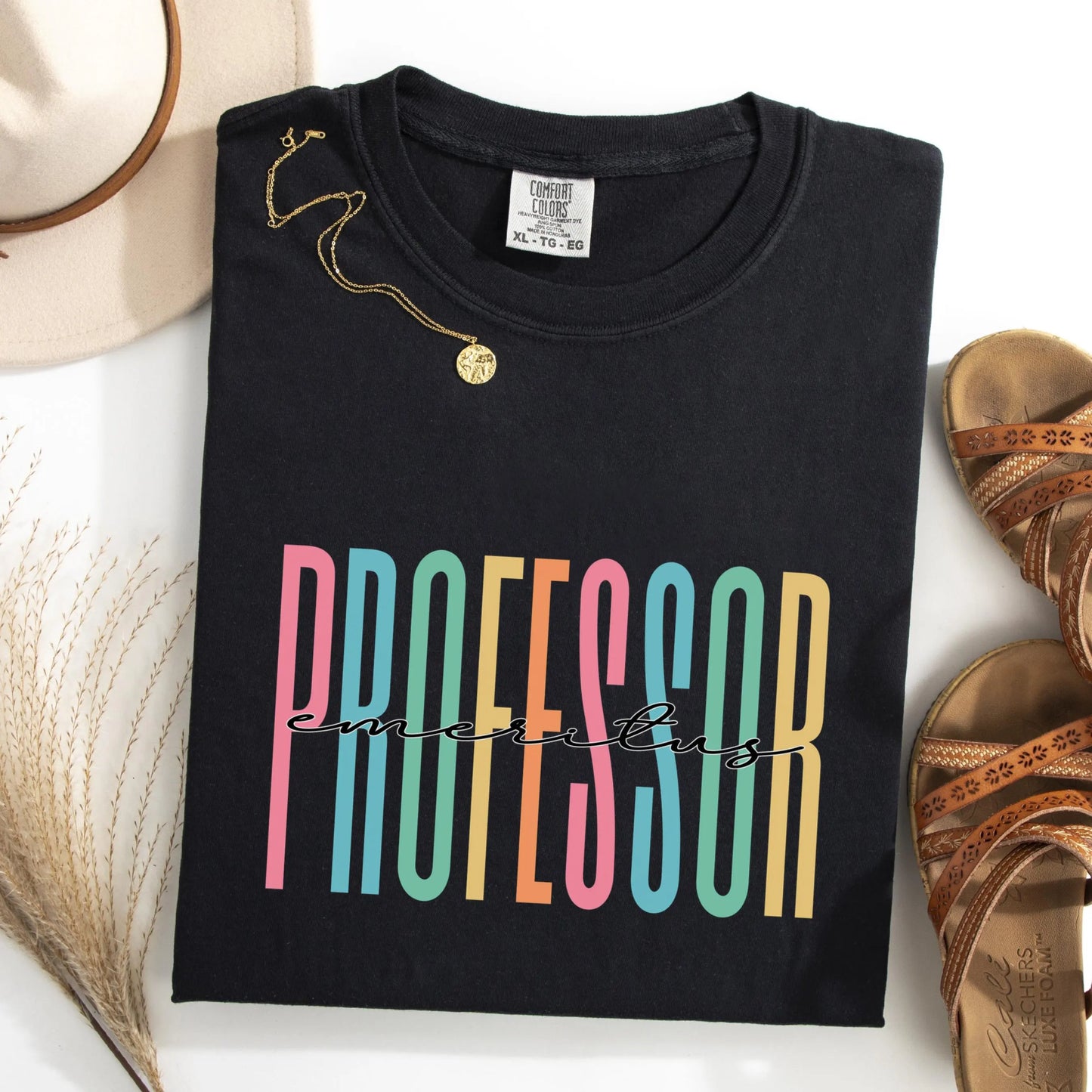 Professor Shirt, Emeritus Professor Gift, Teacher Shirt, Gift for New Professor Gift, Teacher Gift, Professor Tee, College Professor Shirt