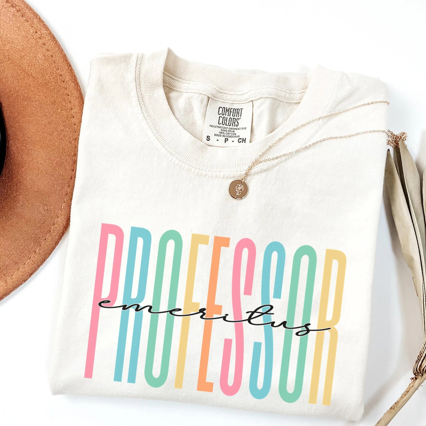 Professor Shirt, Emeritus Professor Gift, Teacher Shirt, Gift for New Professor Gift, Teacher Gift, Professor Tee, College Professor Shirt