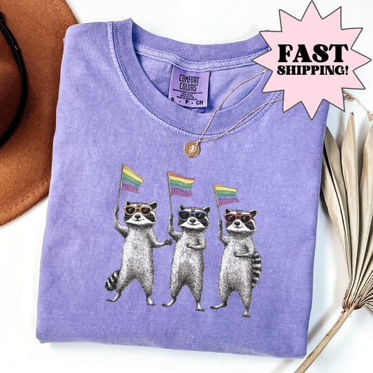 Comfort Colors Pride Shirt, Equality Shirt, Gay Pride Tshirt, LGBTQ Shirt, Gay Shirt, Lesbian Shirt, Social Justice Tee, Raccoon Shirt