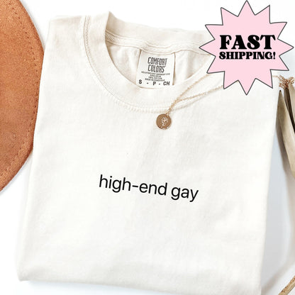 Comfort Colors Gay Shirt, Funny Gay Shirt, High End Gay Shirt, LGBTQ Shirt, Lesbian Shirt, Inclusive Shirt, Equality Tee, Gay Pride Gift