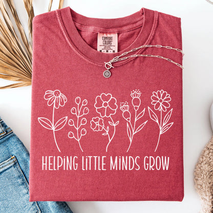 Comfort Colors Teacher Shirt, Kindergarten Teacher Shirt, Teacher Tshirt, Teacher Appreciation Shirt, Little Minds Shirt, New Teacher Gift