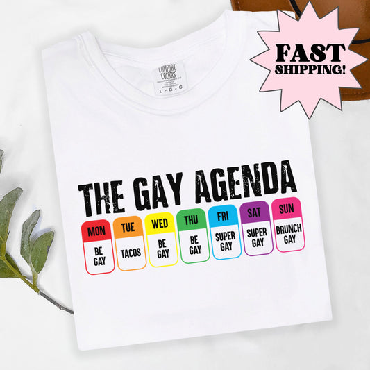 Comfort Colors Pride Shirt, Gay Shirt, LGBTQ Shirt, Lesbian Shirt, Inclusive Shirt, Trans Shirt, Equality Tee, Queer Shirt, Gay Agenda Shirt